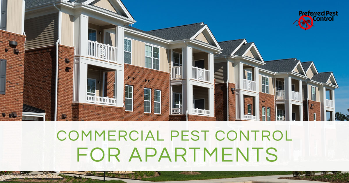 Commercial Pest Control for Apartment Complexes